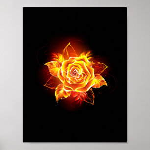 Rose des blühenden Feuers Poster