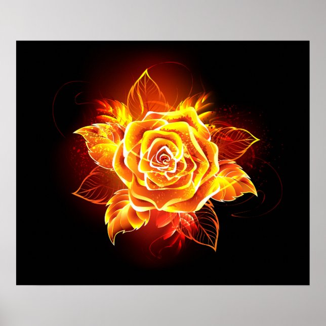Rose des blühenden Feuers Poster (Vorne)