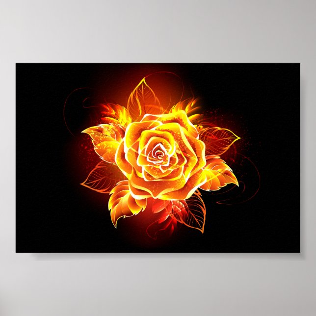 Rose des blühenden Feuers Poster (Vorne)