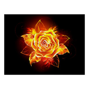 Rose des blühenden Feuers Poster
