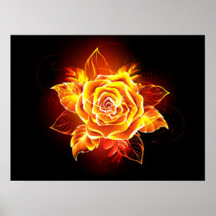 Rose des blühenden Feuers Poster