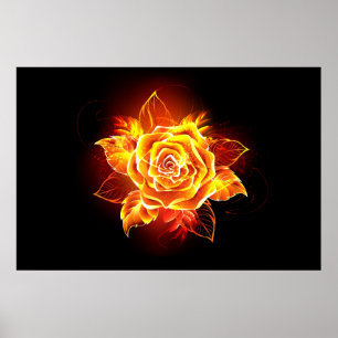 Rose des blühenden Feuers Poster