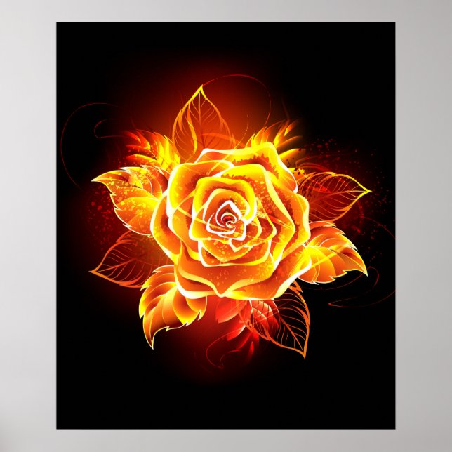 Rose des blühenden Feuers Poster (Vorne)