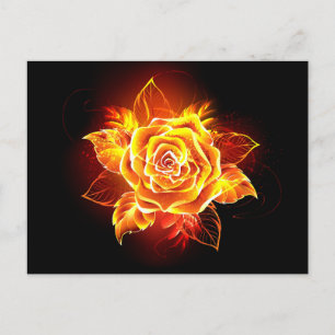 Rose des blühenden Feuers Postkarte