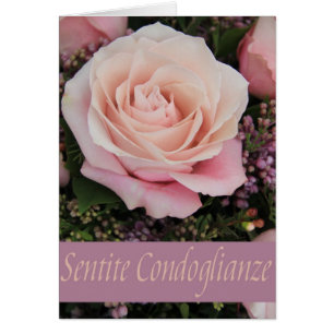 Rose des italienischen Beileids - sentite condogli