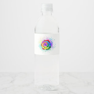 Rose des Regenbogens
