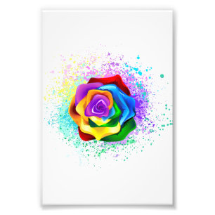 Rose des Regenbogens Fotodruck