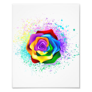 Rose des Regenbogens Fotodruck