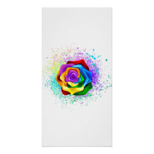 Rose des Regenbogens Poster