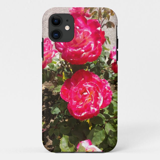 Rose des Roten Gartens Case-Mate iPhone Hülle (Rückseite)