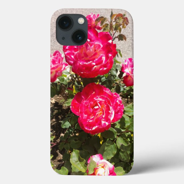 Rose des Roten Gartens Case-Mate iPhone Hülle (Rückseite)