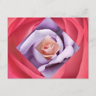 Rose Diamond Postcard Postkarte