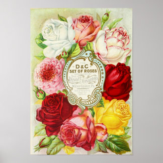 Rose-Dingee und Conard Company Seed Catalog Poster
