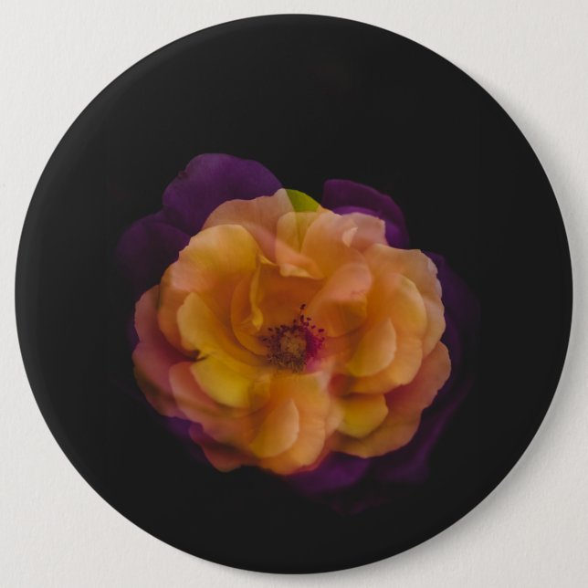 Rose (Doppelbelichtung) Button (Vorderseite)