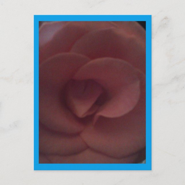 Rose Dragon Postkarte (Vorderseite)