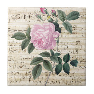 Rose Dreamy Fliese