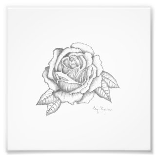 Rose drucken - Seidenendpapier Fotodruck
