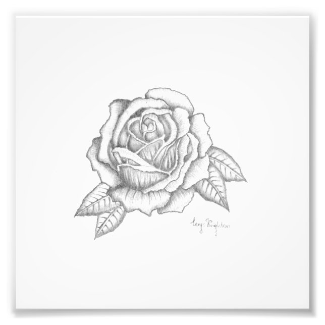 Rose drucken - Seidenendpapier Fotodruck (Vorne)