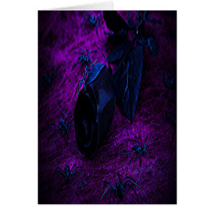Rose éffrayant en matière noire, araignées noires