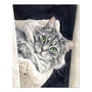 Rose, eine Katze mit auffallenden grünen Augen Fotodruck