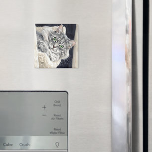Rose, eine Katze mit auffallenden grünen Augen Magnet