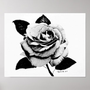 Rose eingeprägt 11x14 Poster