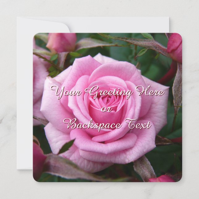 Rose Einladungen Personalisiert rosa rosa RSVP-Kar (Vorderseite)