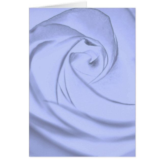 Rose en blue.jpg (Devant)