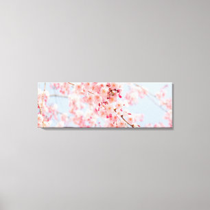 Rose en fleurs de cerisiers en toile de fond
