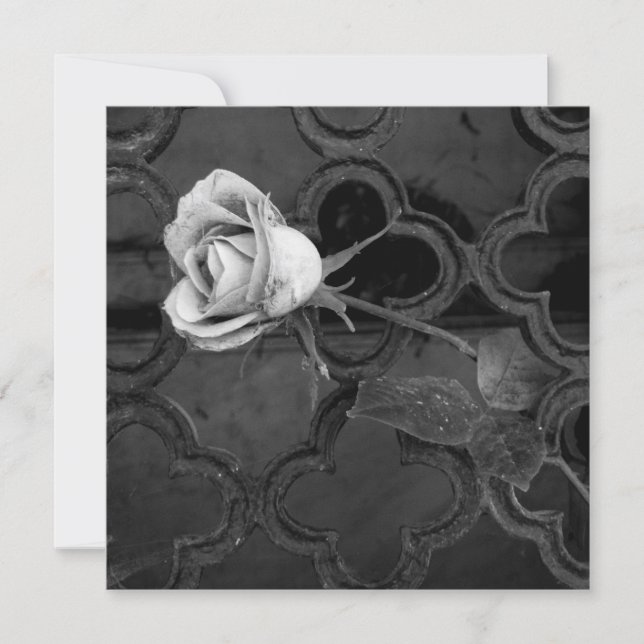 Rose en noir et blanc carte de soutien (Devant)