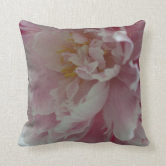 Rose et coussin pelucheux