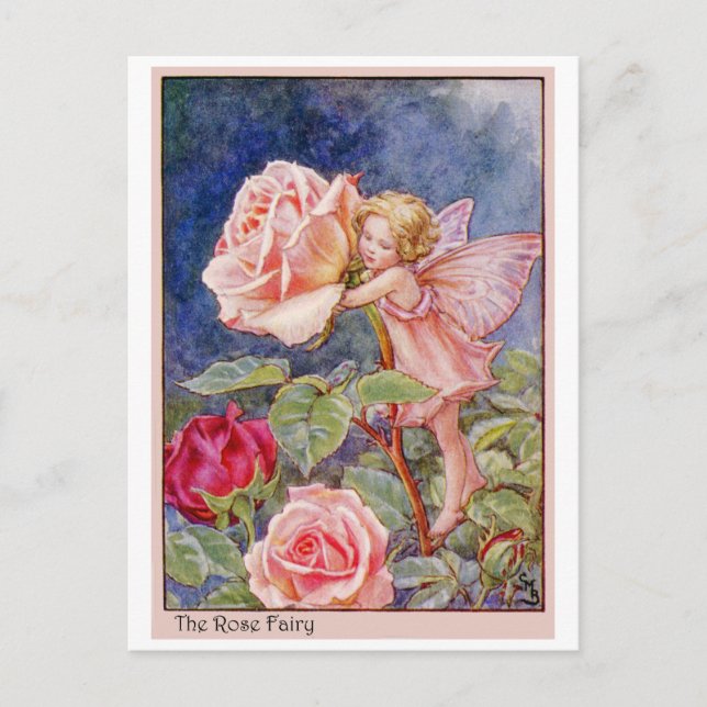 Rose Fairy Postkarte (Vorderseite)