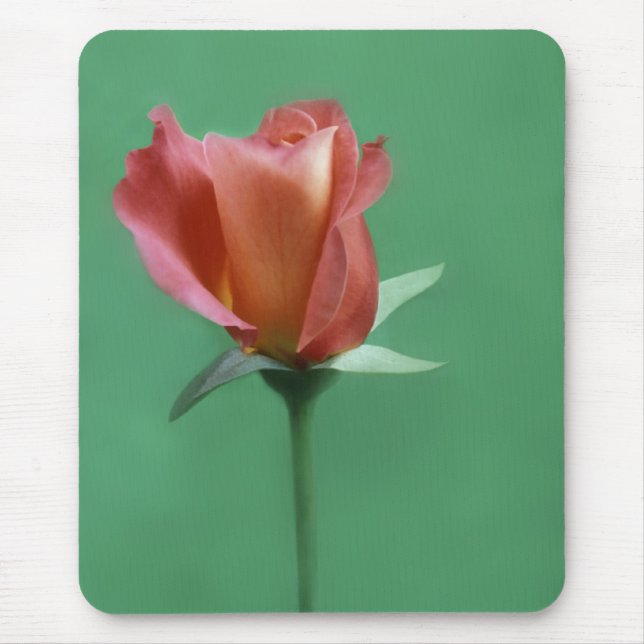 Rose-farbige Rose Mousepad (Vorne)