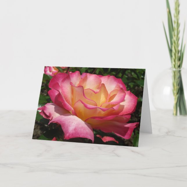 Rose Feiertagskarte (Vorderseite)