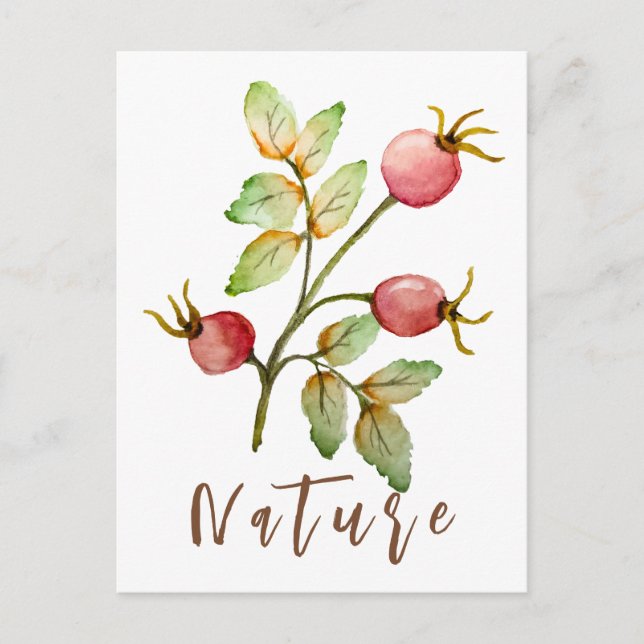 Rose Feiertagspostkarte (Vorderseite)
