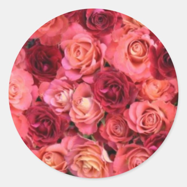 ROSE FELD, leuchtend rosa Runder Aufkleber (Vorderseite)