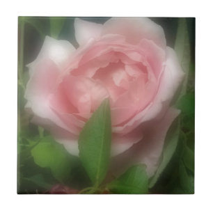 Rose Fliese