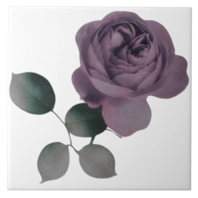 Rose Fliese (Vorderseite)