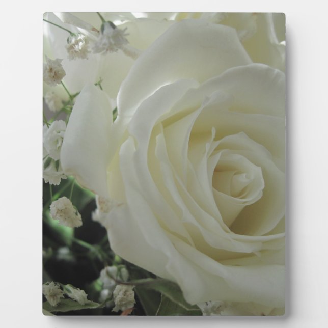 Rose Floral Fotoplatte (Vorderseite)
