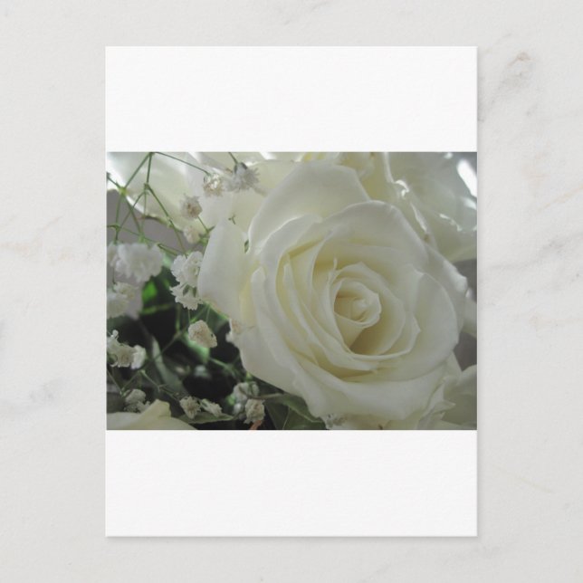 Rose Floral Postkarte (Vorderseite)
