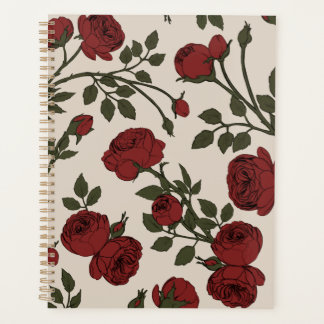 Rose Florentina