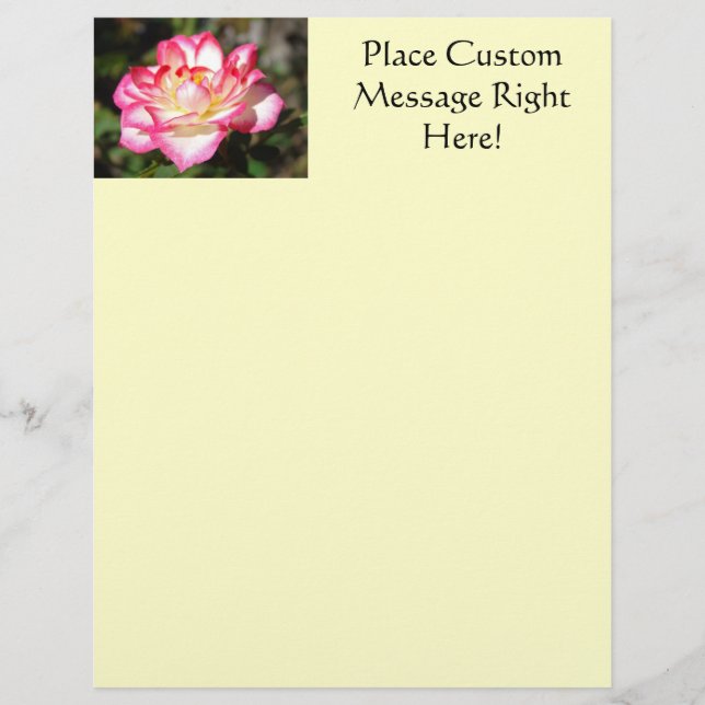 Rose Flyer Vorlage Rosa Gelber Flyer (Vorne)