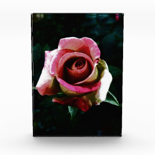 rose fotoblock