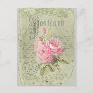 Rose français - Carte postale