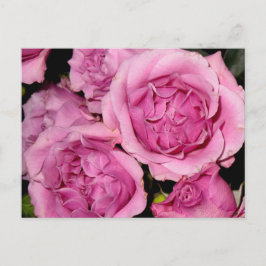 Rose für Mutter Postkarte