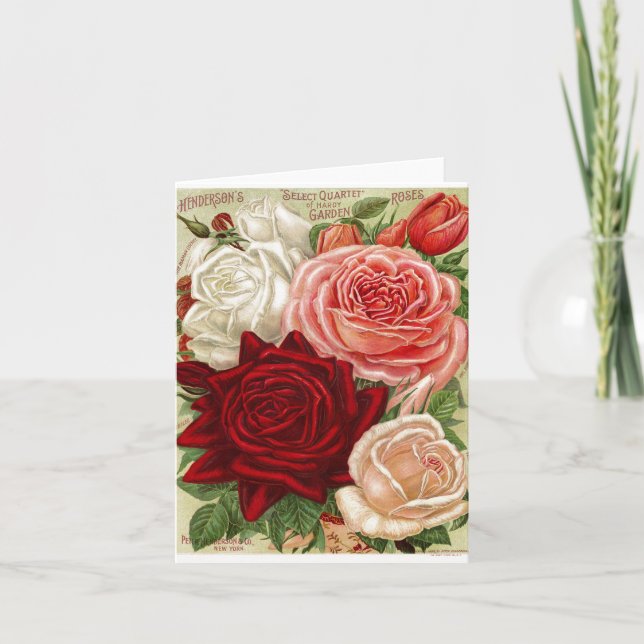 Rose für Vintage Gartenarbeit Karte (Vorderseite)