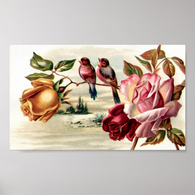 Rose für Vintage Vogelarten Poster (Vorne)