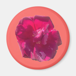 ROSE G MAGNET