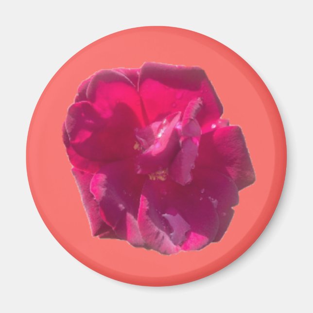 ROSE G MAGNET (Vorne)