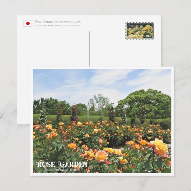 Rose Garden (Nagai Botanical Garden) ポストカード Postkarte (Vorne/Hinten)